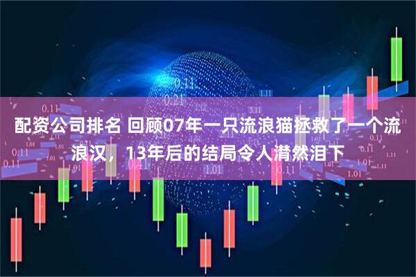 配资公司排名 回顾07年一只流浪猫拯救了一个流浪汉，13年后的结局令人潸然泪下