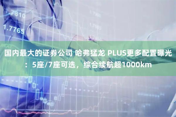 国内最大的证券公司 哈弗猛龙 PLUS更多配置曝光：5座/7座可选，综合续航超1000km
